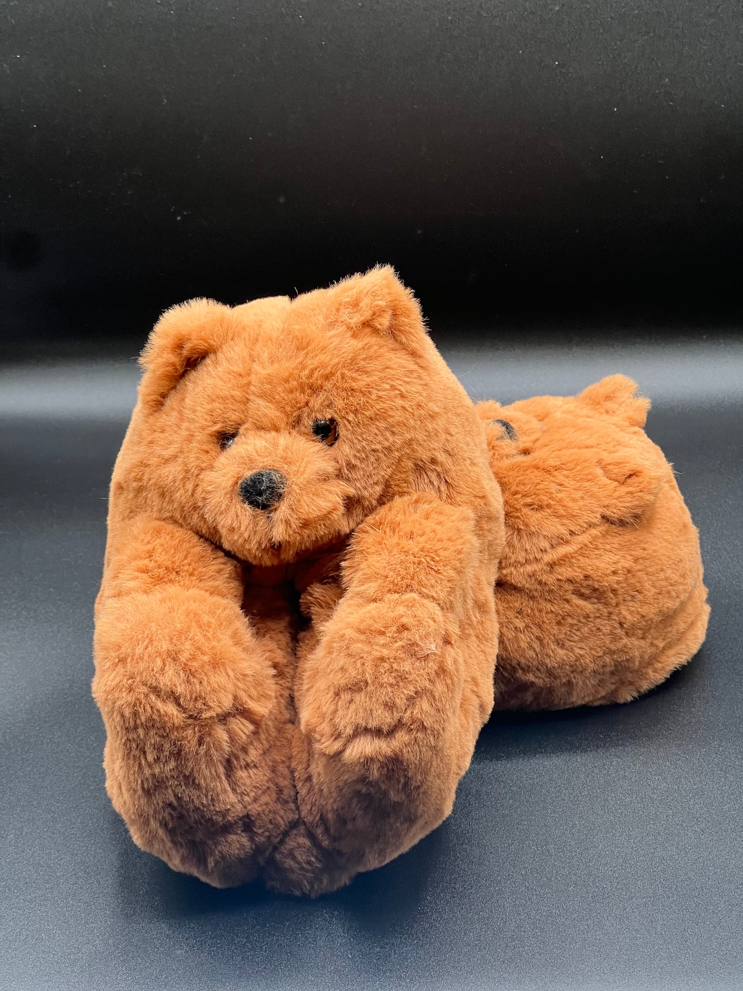 Kids Teddy Bear Slipper
