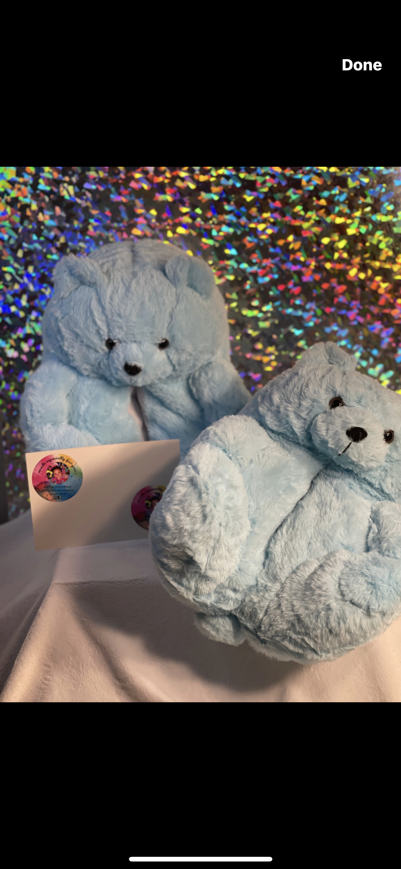 Teddy Bear Slippers
