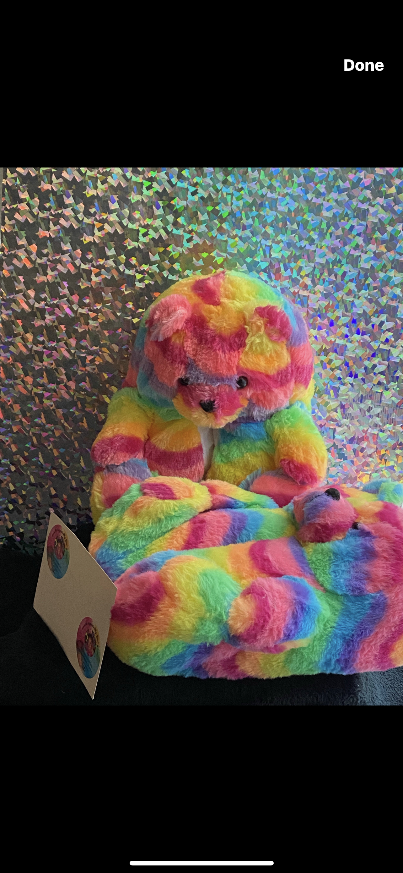 Teddy Bear Slippers