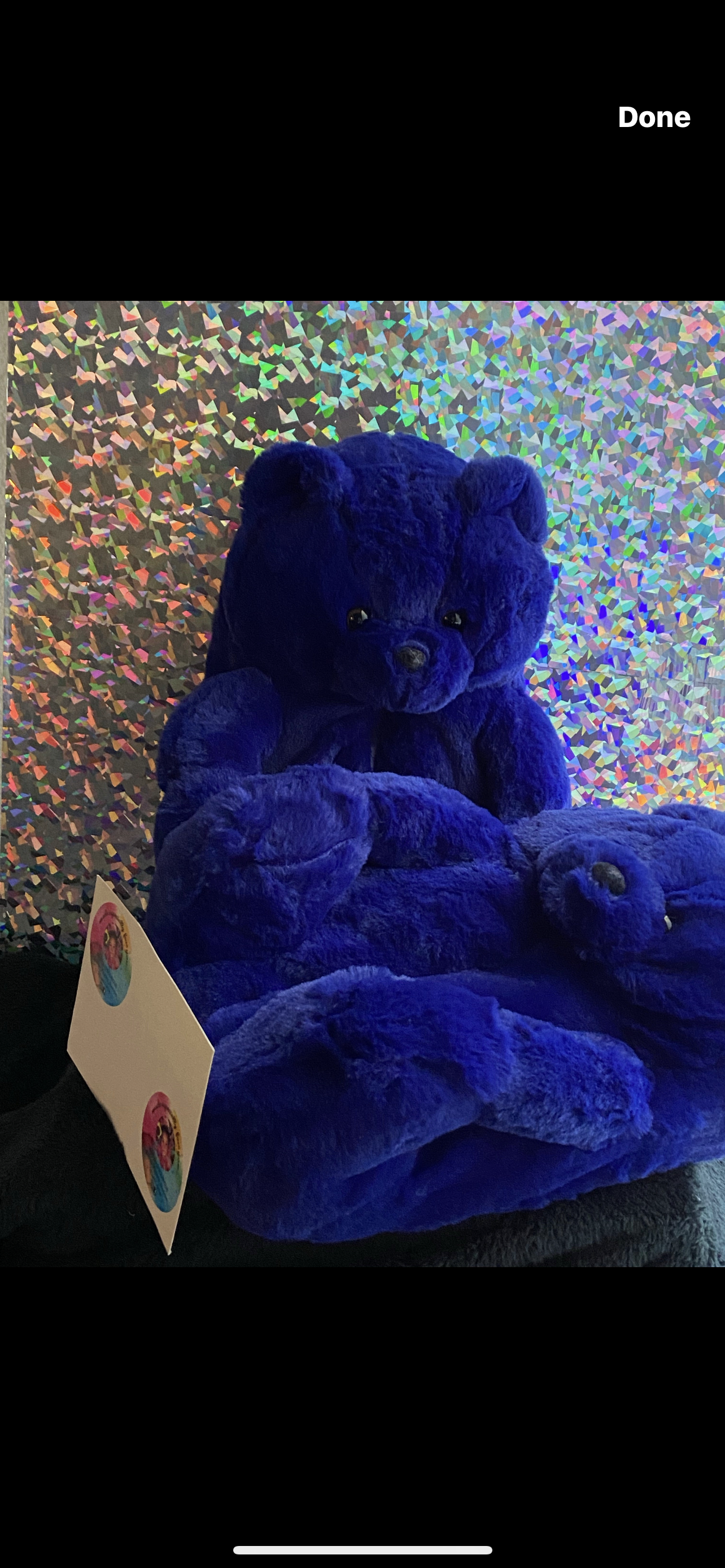 Teddy Bear Slippers