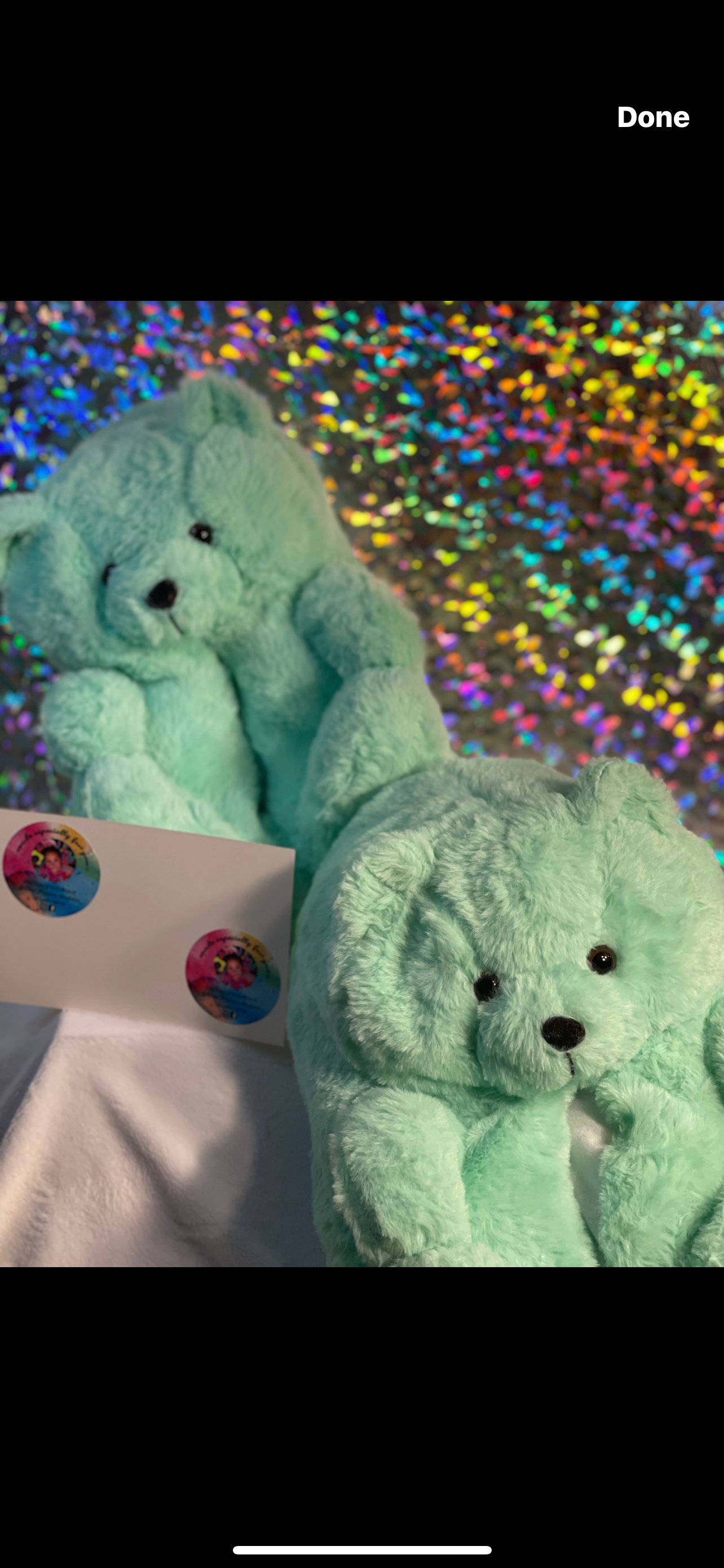 Teddy Bear Slippers