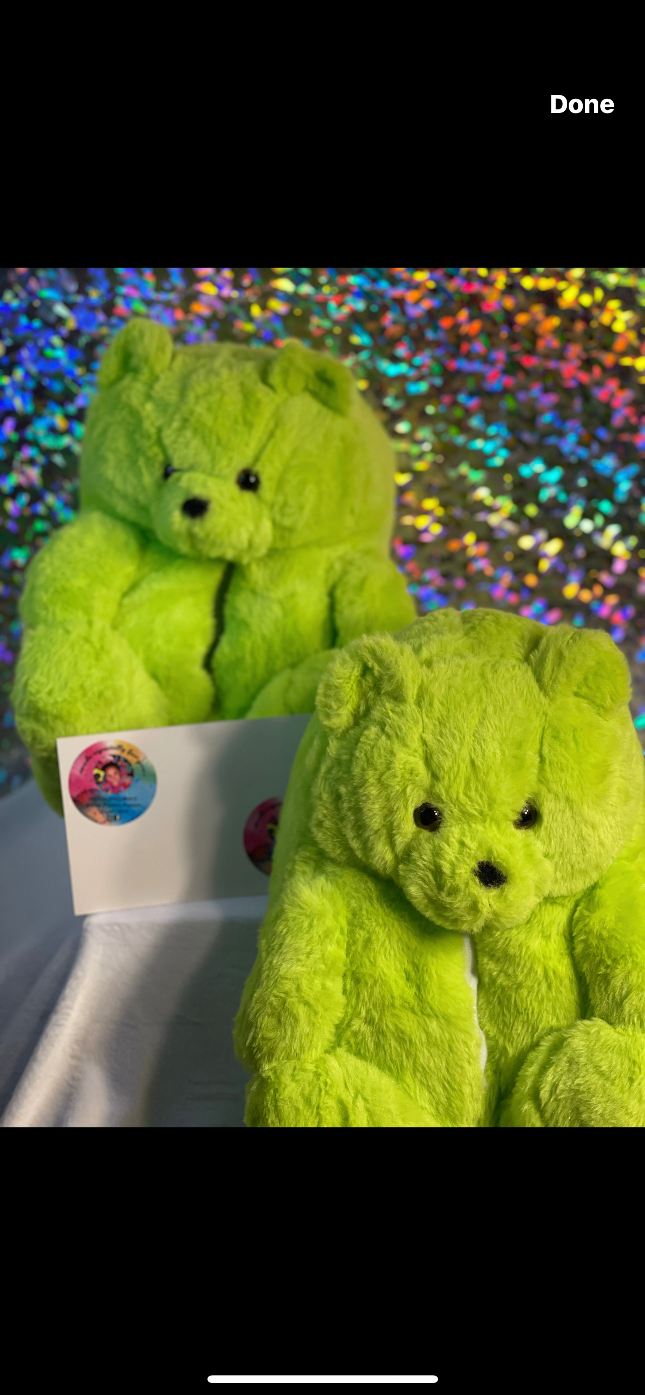 Teddy Bear Slippers