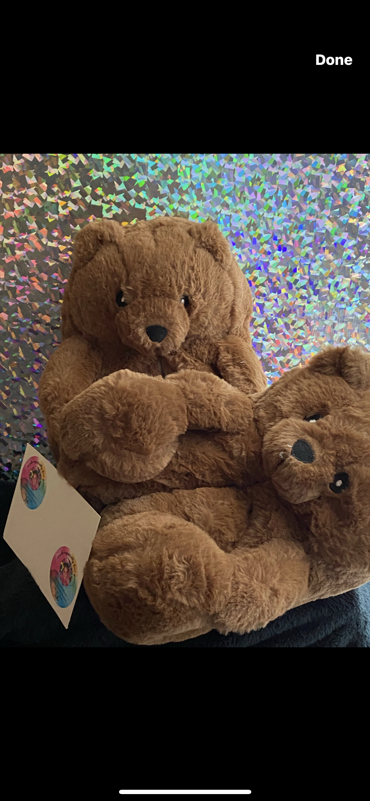 Teddy Bear Slippers